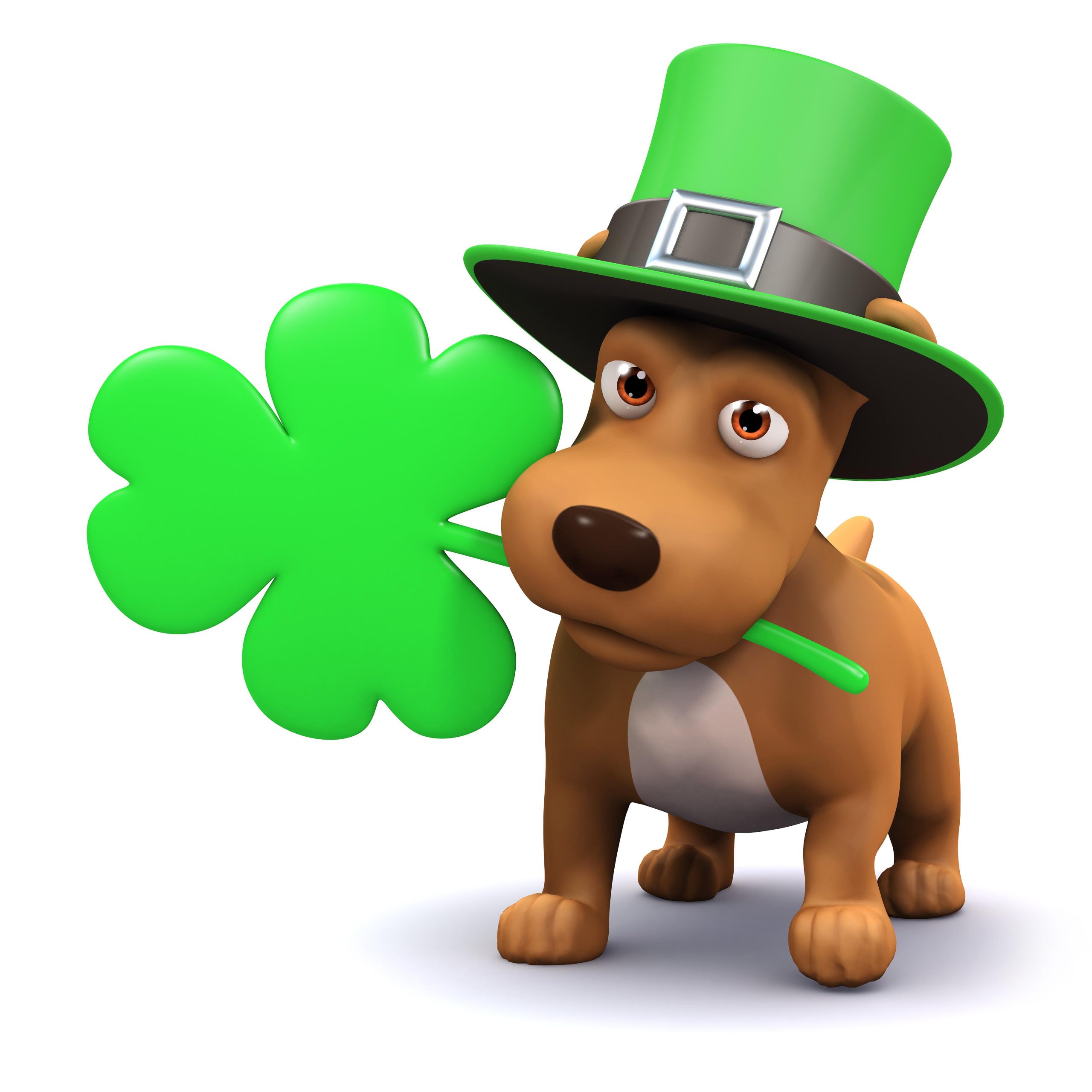 St Patricks Day Dog Free 4K Wallpapers, St Patricks Day Dog, Anime