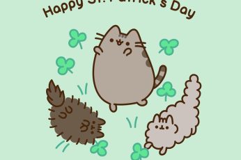 St Patrick’s Day Pusheen Wallpaper For Ipad