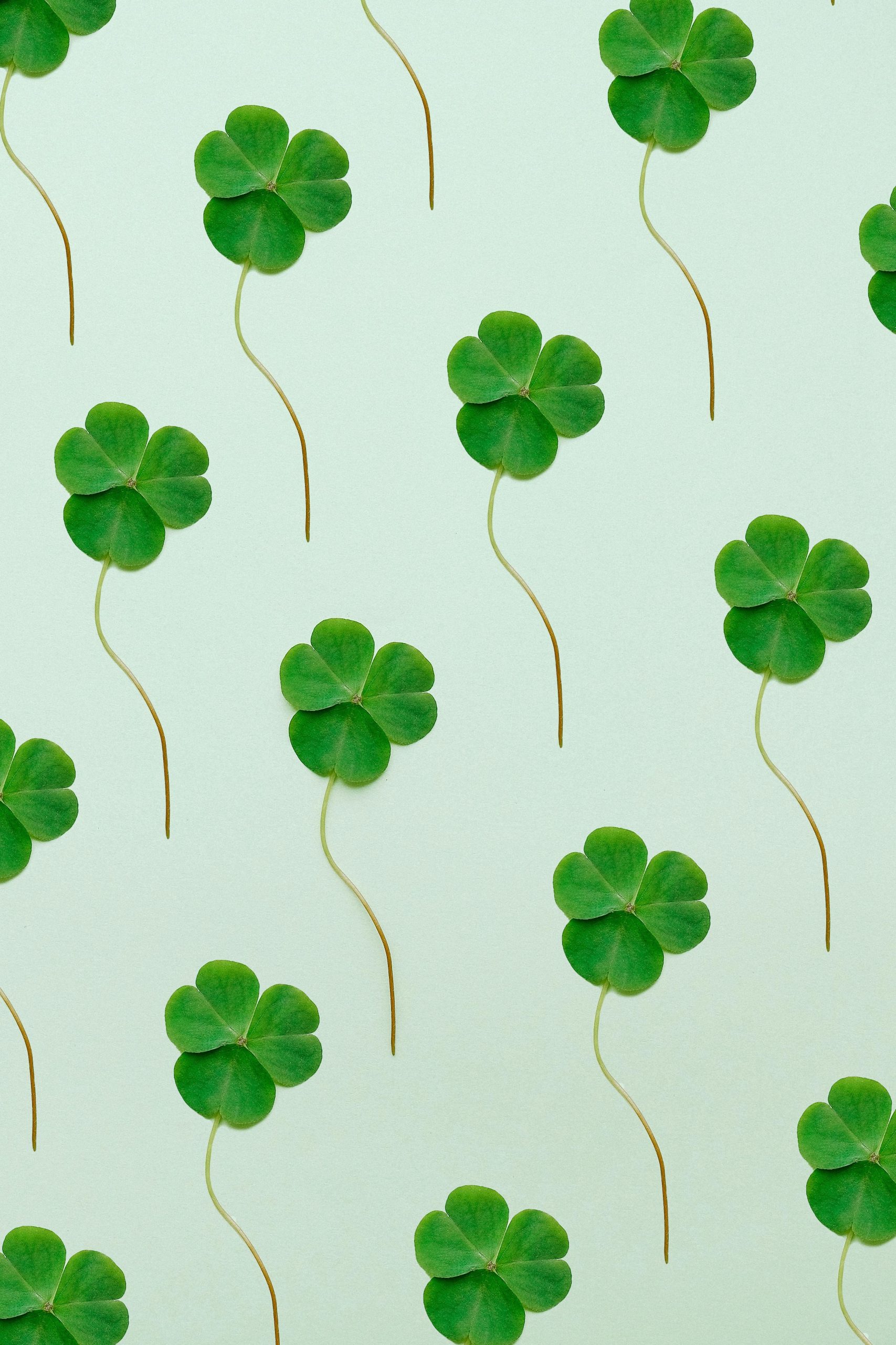 St Patrick’s Day iPhone Wallpaper 4k Download