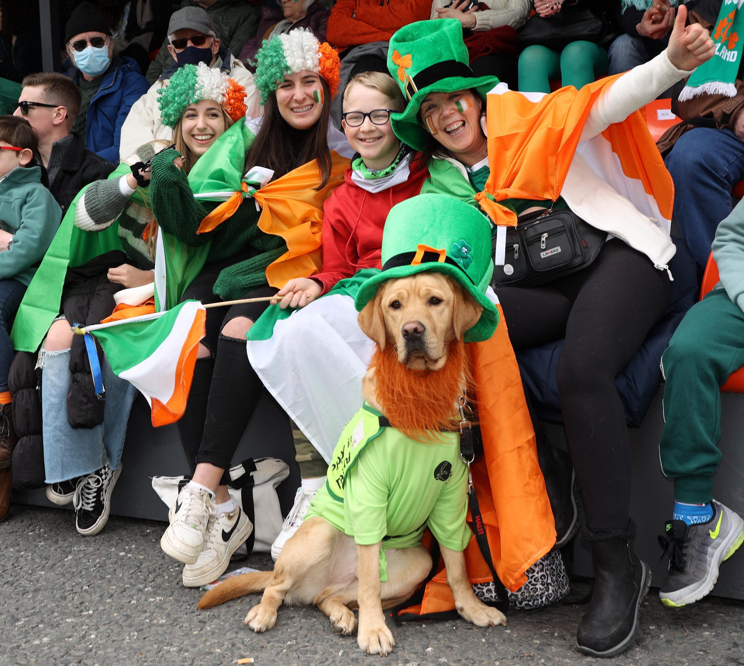 St. Patrick’s Day Dogs Wallpaper Hd