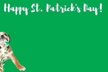 St. Patrick’s Day Dogs Wallpaper Iphone