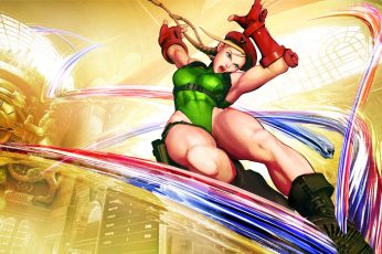 Street Fighter Girls Desktop 4k Wallpaper